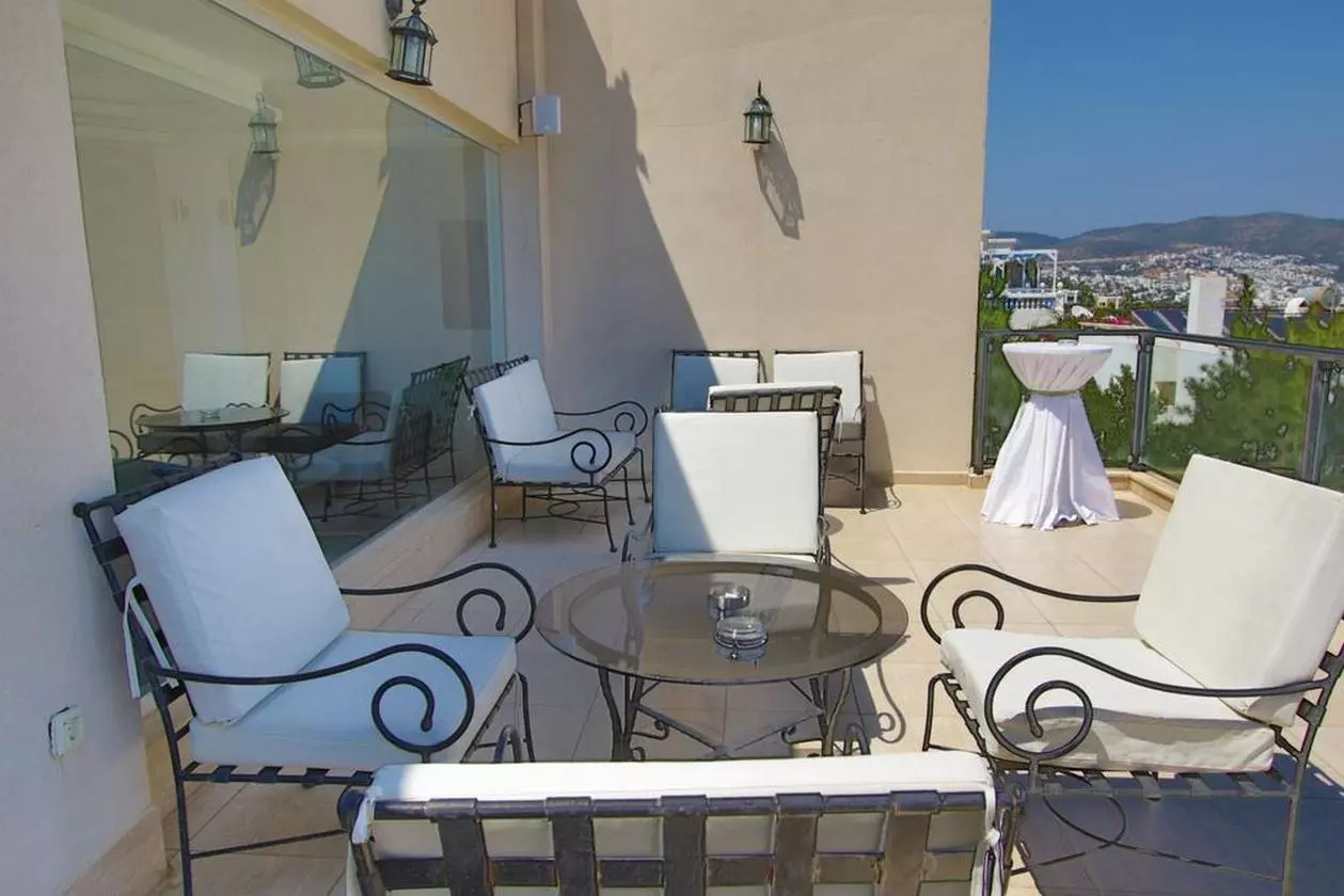 ROSSOVERDE_SHABAVIZ (3).jpg